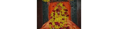 அலகாபாத் - உத்திரப்பிரதேசம்